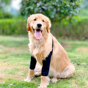 אנטי-הכלב ללקק את המרפק סד מגן הפצע רך לנשימה הקלה על כאב כתף תומכת המרפק רפידות עבור כלבים המרפק