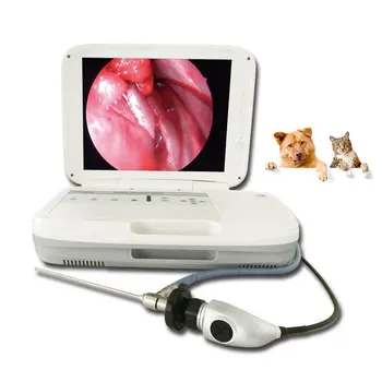 חם למכור את-W059 HD וידאו ניידת וטרינרית אנדוסקופ רפואי אנדוסקופיה המכונה